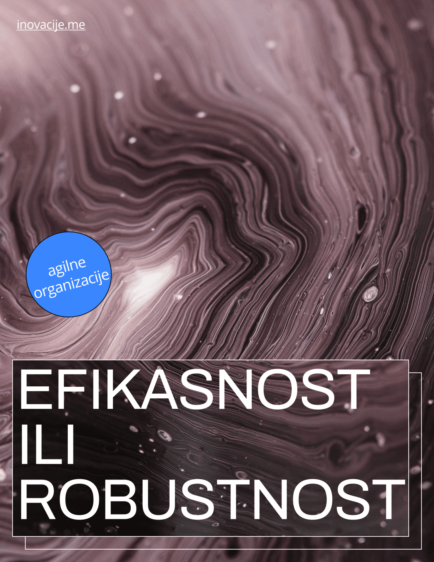 Cover Image for Efikasnost ili robustnost - agilne organizacije